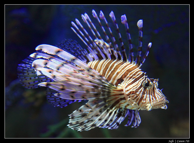 2012 - 06 - Dubai - 154